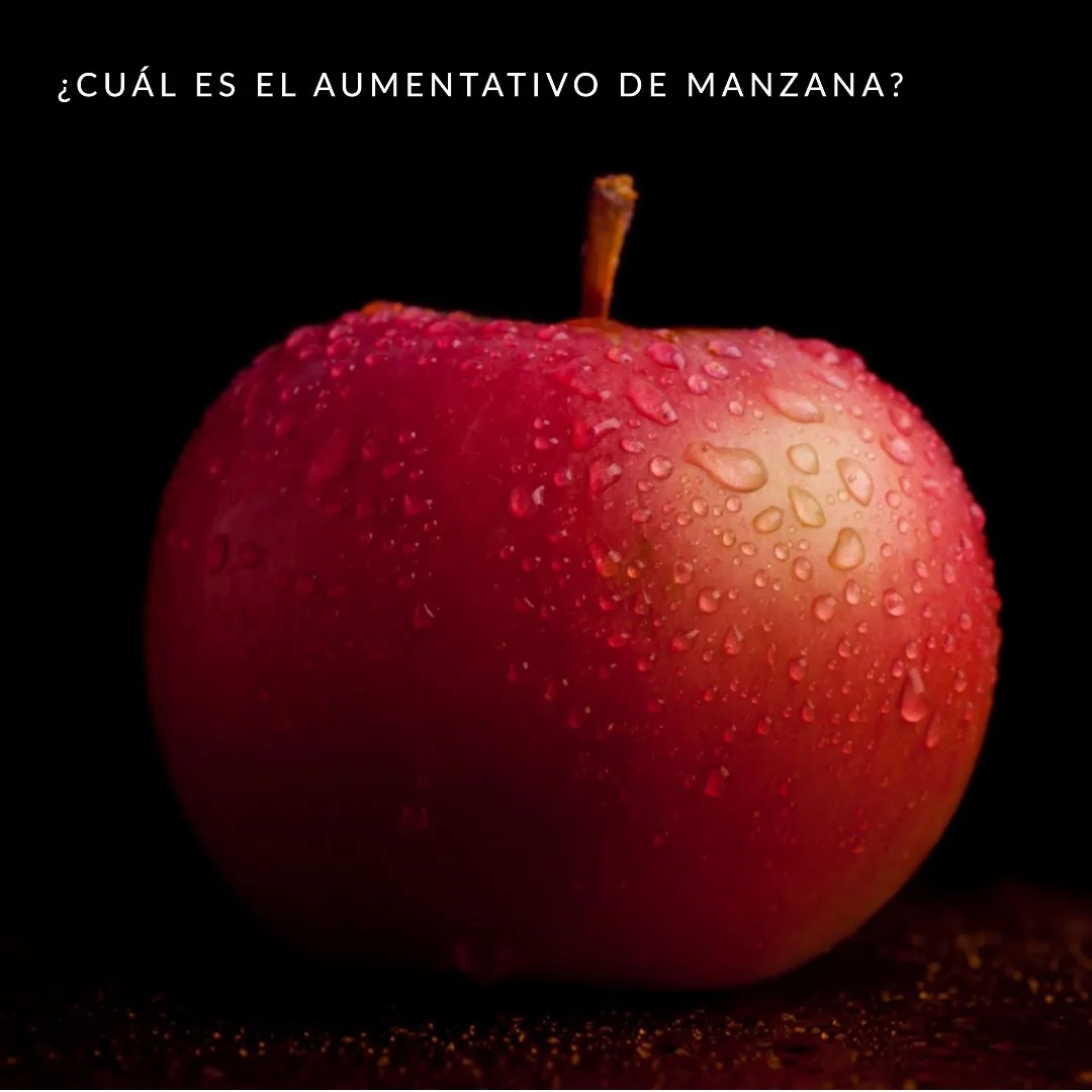 Aumentativo de Manzana